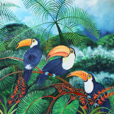 Toucans