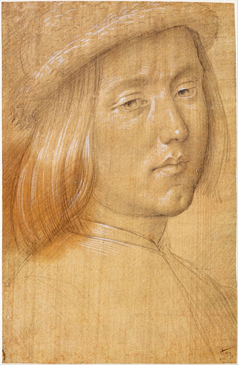 Head of a Youth de Lorenzo di Credi