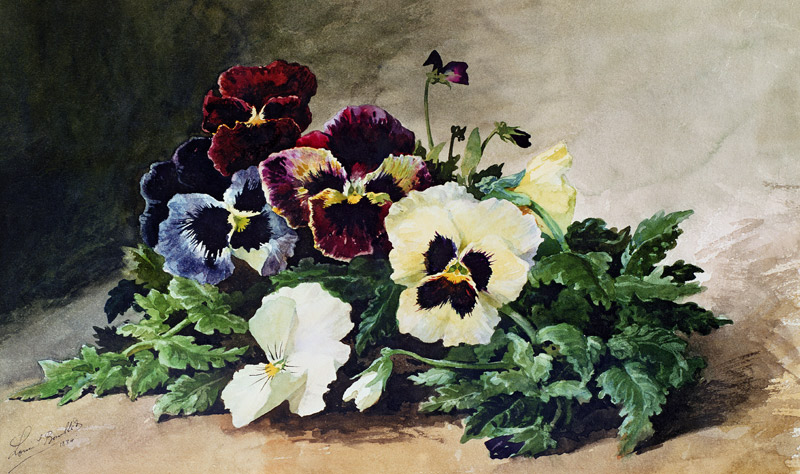 Winter Pansies de Louis Bombled