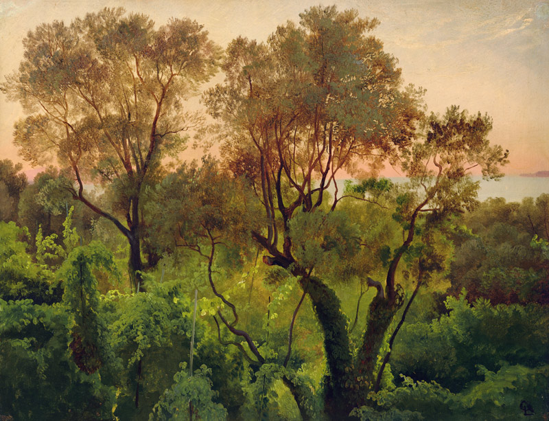Slope with Olive Trees de Louis Gurlitt