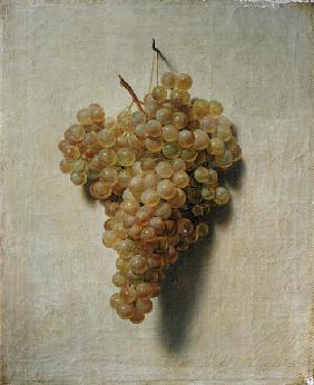 White grapes