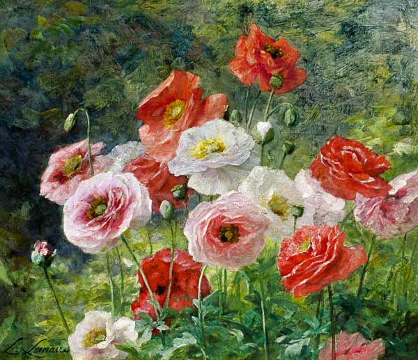 Cluster of Poppies de Louis Marie Lemaire