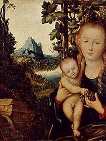 Maria with the child. de Lucas Cranach el Viejo