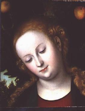 Head of the Virgin