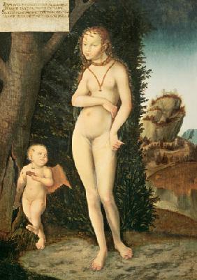 Venus with Cupid the Honey Thief