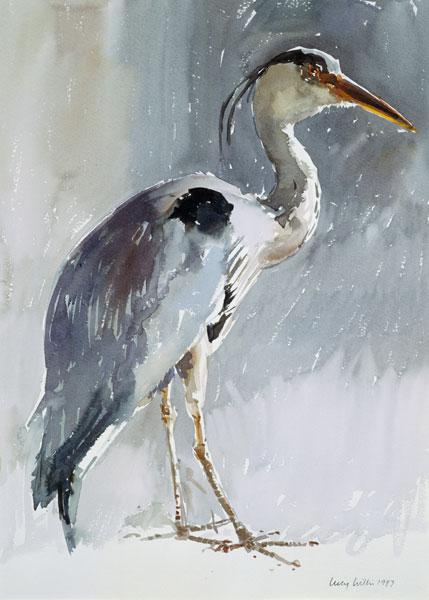 Grey Heron, 1987 (w/c on paper) 