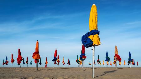 Les Parapluies de Deauville