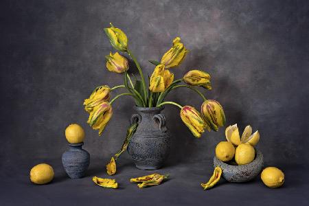 Yellow and Red Tulips