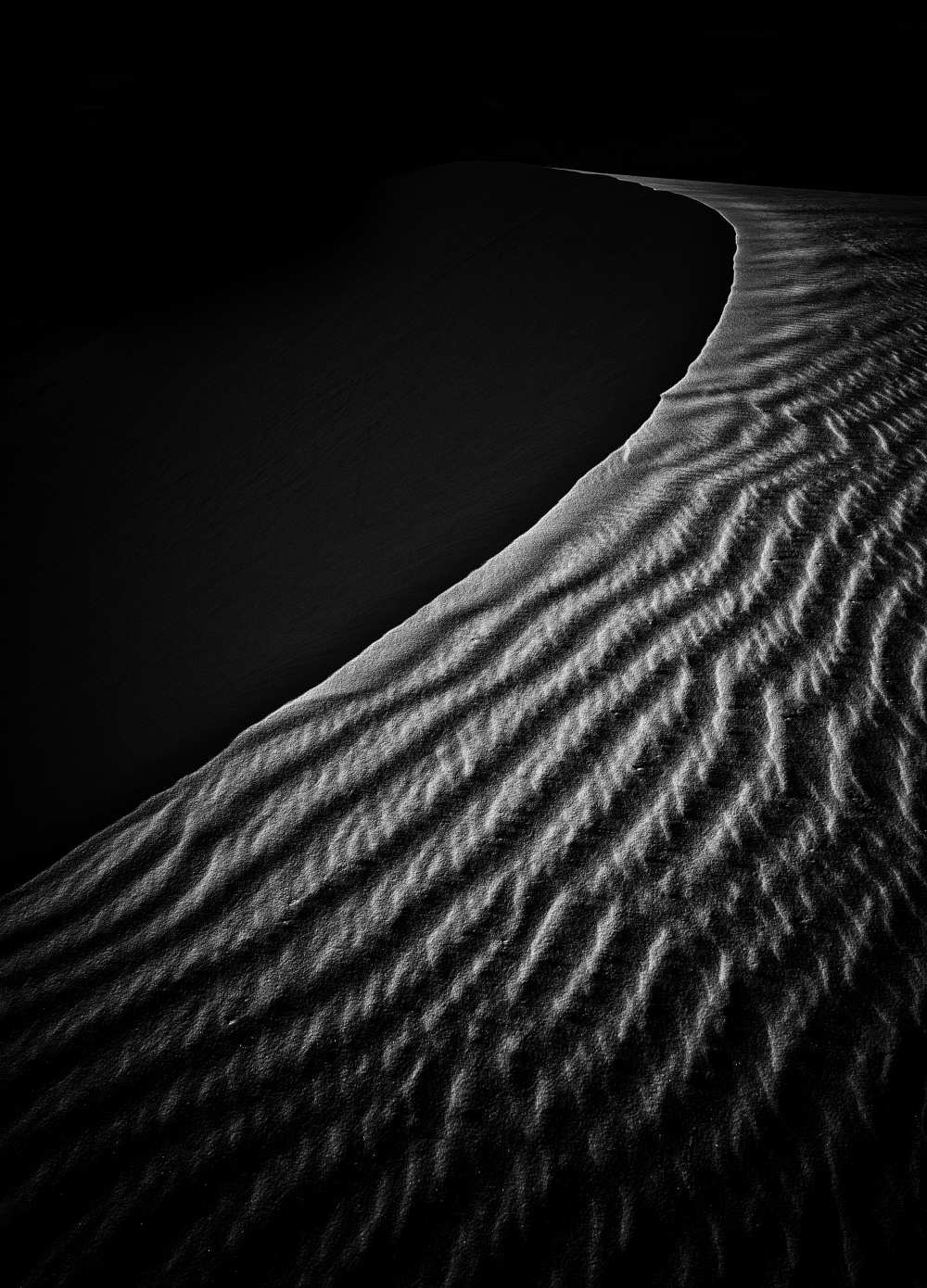 Sand Dune de Lydia Jacobs