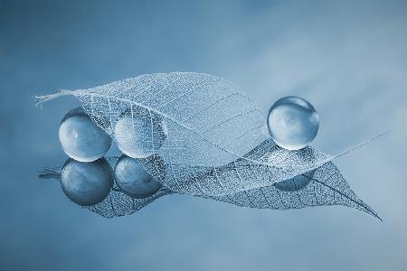 Dry leaf and Bubbles