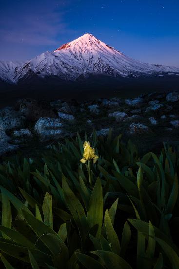 Mount Damavand in Blue Moments