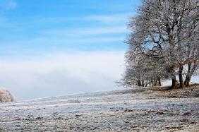 Winterlandschaft