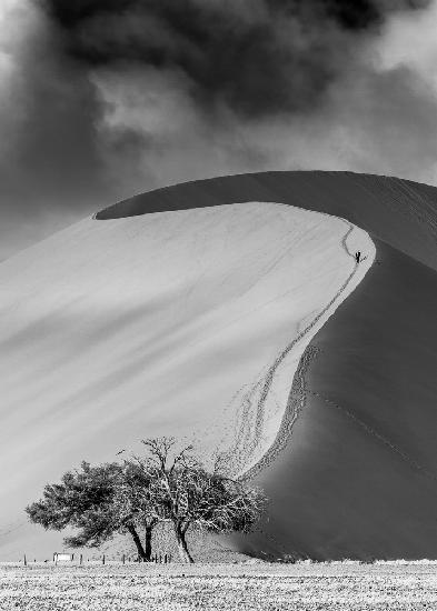 Steel desert