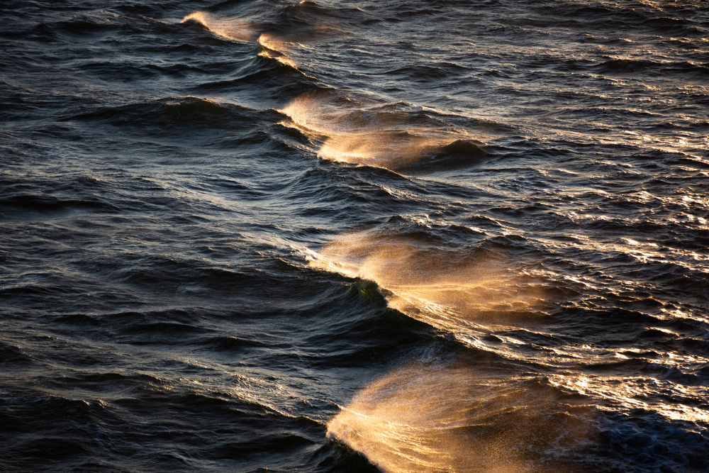 Sunkissed Waves de Mareike Böhmer