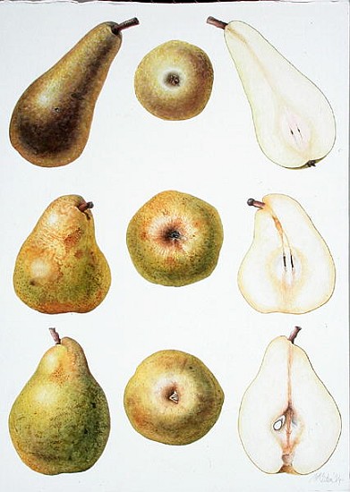 Six Pears, 1994 (w/c on paper)  de Margaret Ann  Eden