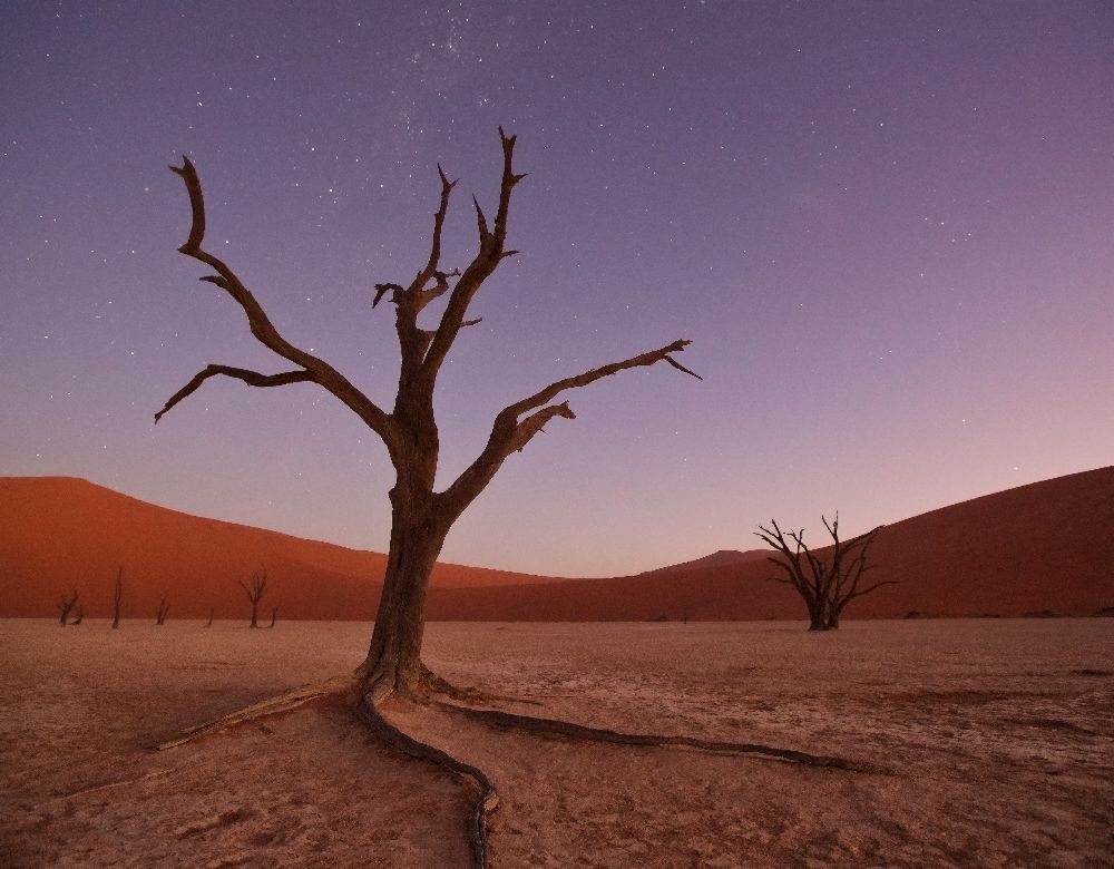 African lullaby de Margarita Chernilova