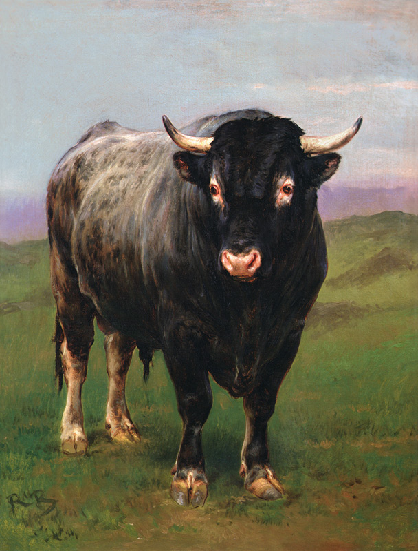 The Black Bull de Maria-Rosa Bonheur
