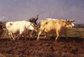 Ploughing in the Nivernais