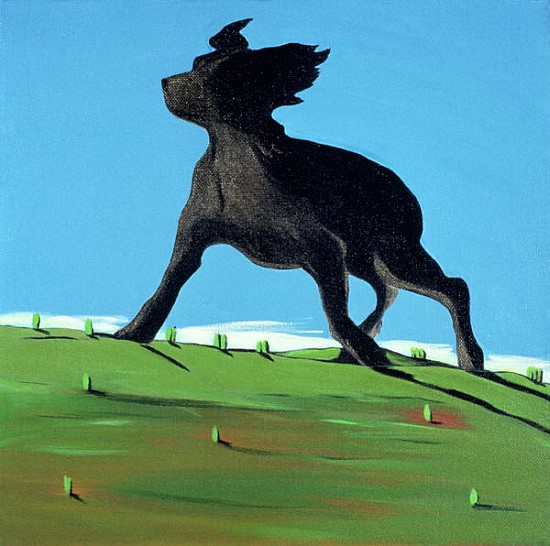 Amazing Black Dog, 2000 (acrylic on canvas)  de Marjorie  Weiss