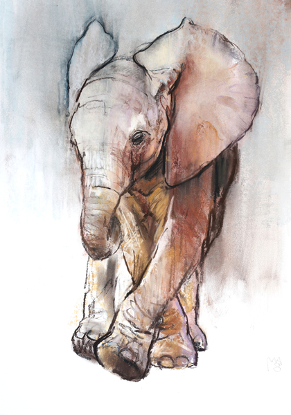 Baby Elephant 2, Loisaba de Mark  Adlington