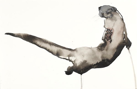 Back Awash (Otter) de Mark  Adlington