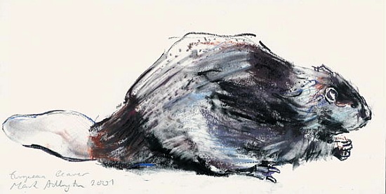 European Beaver (Study) 2001 de Mark  Adlington
