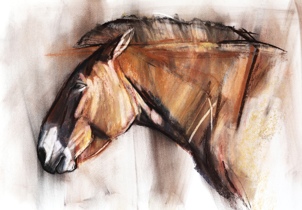 Resting Horse de Mark  Adlington
