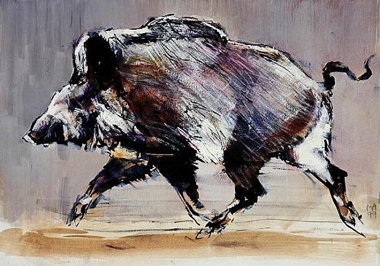 Running boar de Mark  Adlington