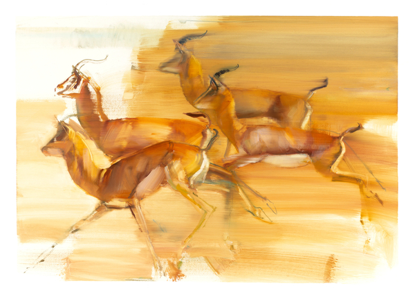 Running Gazelles de Mark  Adlington