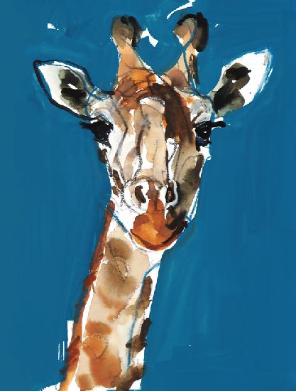 Masai Giraffe