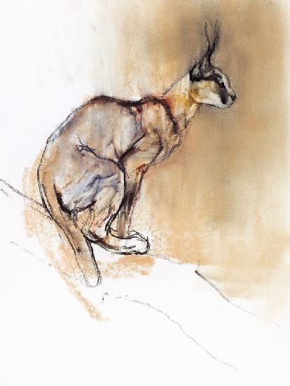 Seated Caracal