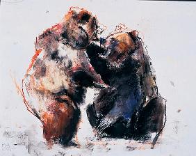 European Brown Bears