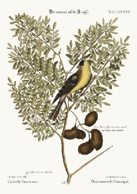 The American Goldfinch