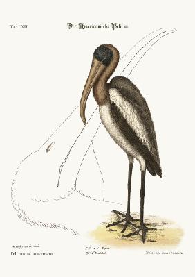 The Wood Pelican