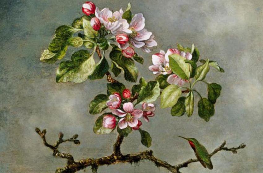 Martin Johnson Heade