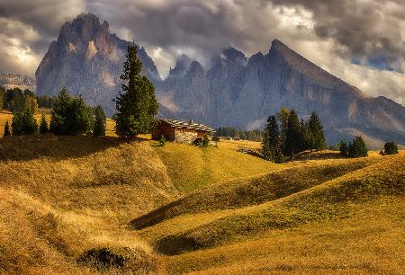 On a mountain meadow