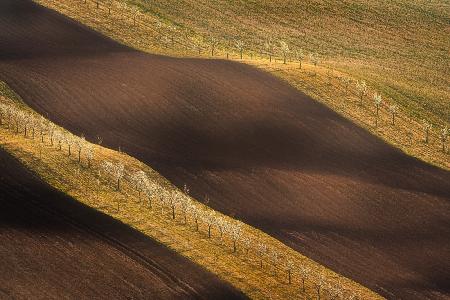 Moravian Tuscany Waves #6