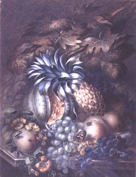 Study of Fruit de Mary Bradley