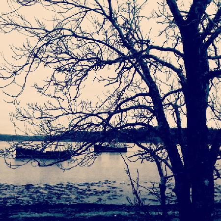 Boats on the loch