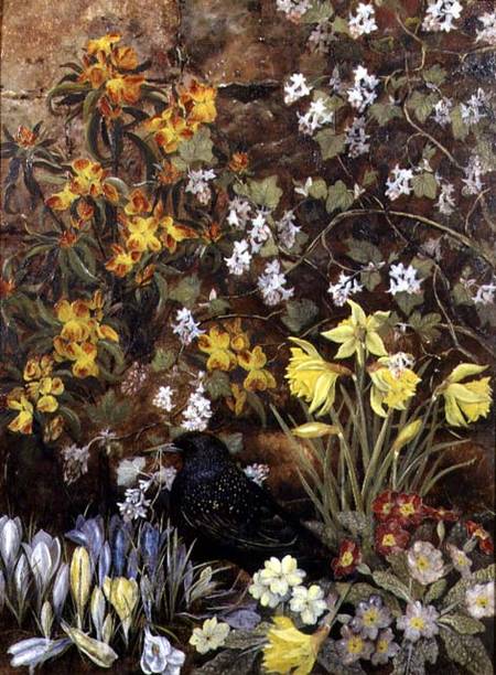 Spring Flowers de Mary Ensor