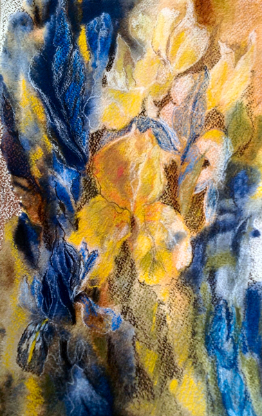 gold and blue iris de Mary Smith