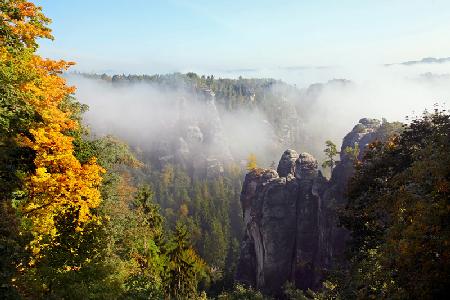 Morgennebel in der Sächsischen Schweiz