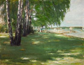 the artists' garden at Wannsee: birches on the lakefront 1918