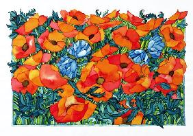 Poppies, 1998 (w/c on paper) 