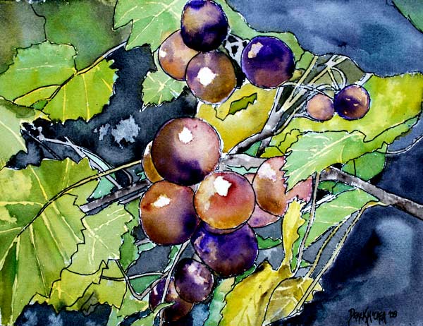 Grape Vine de Derek McCrea