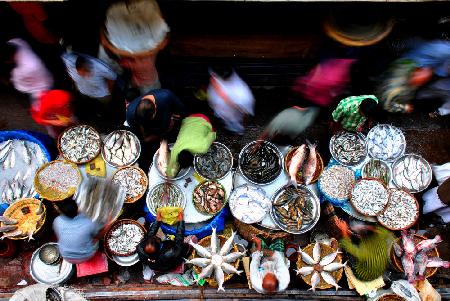 FISH MARKET