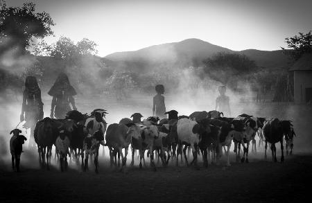 Him children returning from herding