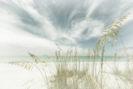 Reed en la playa - Silencio celestial | Vintage