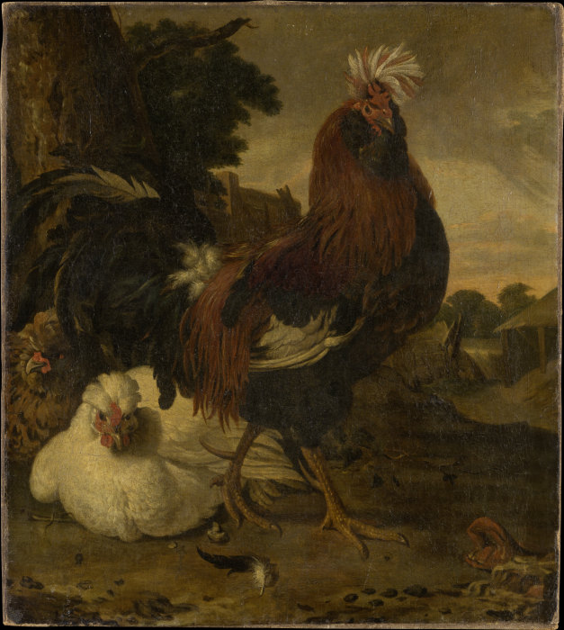 Cock in a Barnyard de Melchior de Hondecoeter