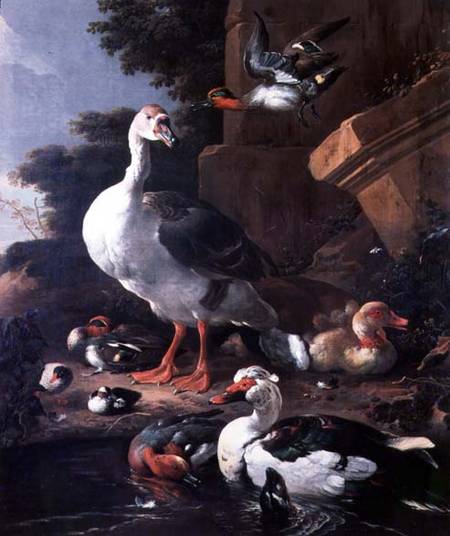 Waterfowl in a classical landscape de Melchior de Hondecoeter